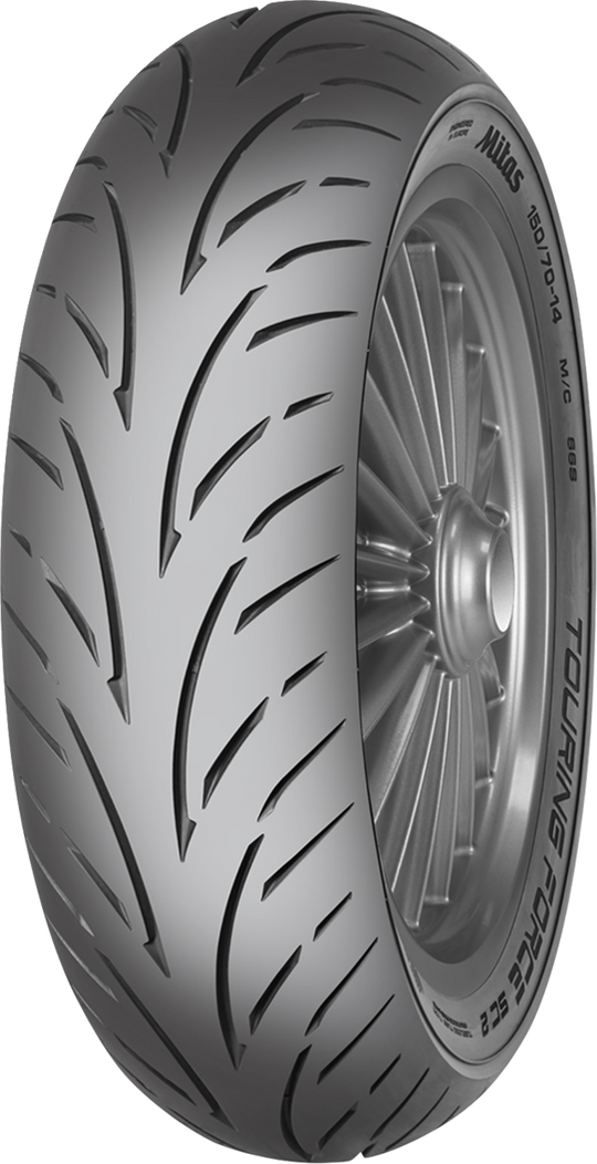 Representative tire model photo