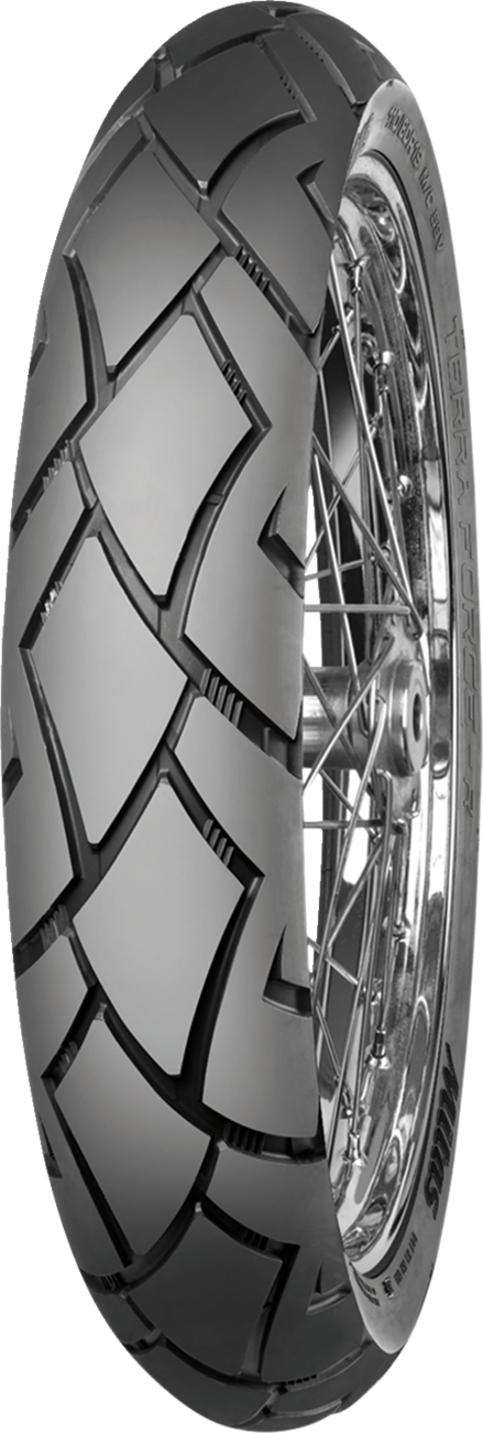 Representative tire model photo