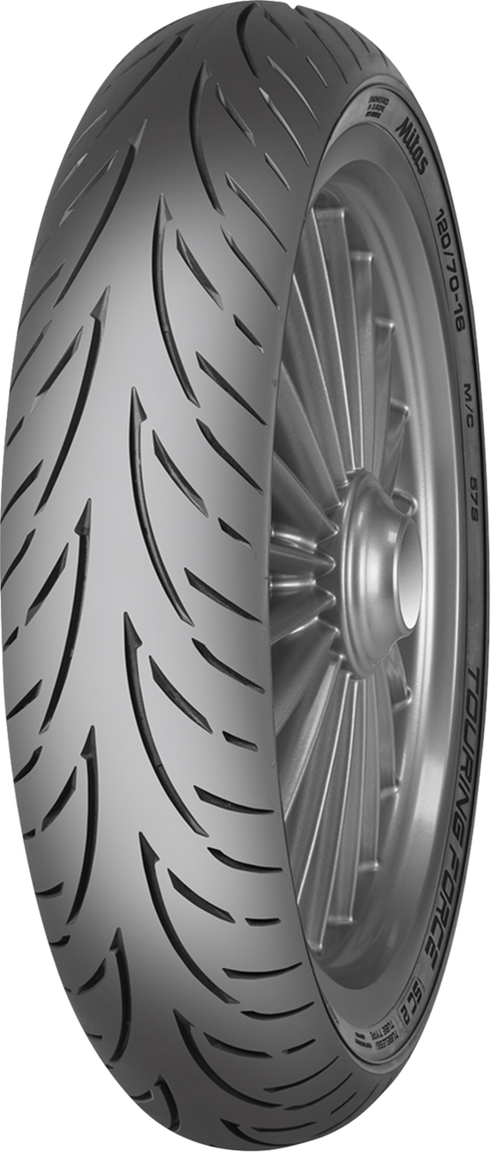 Representative tire model photo