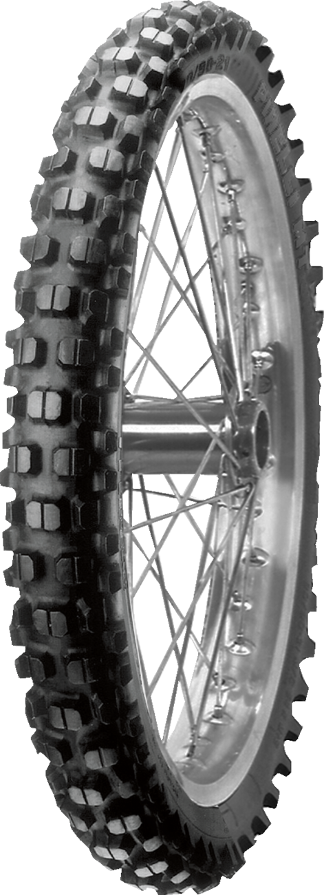 Representative tire model photo