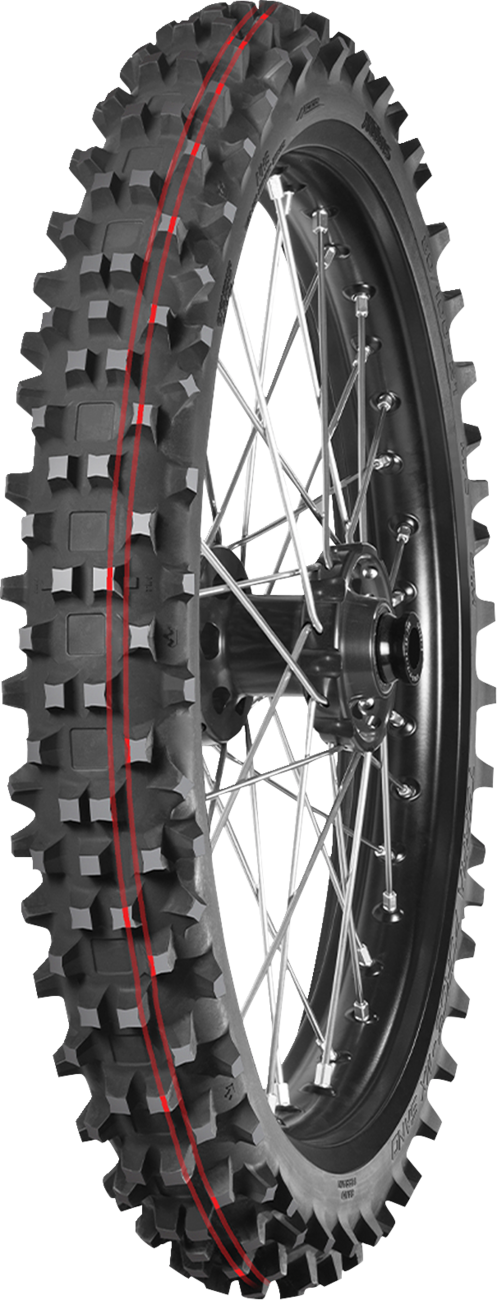 Representative tire model photo