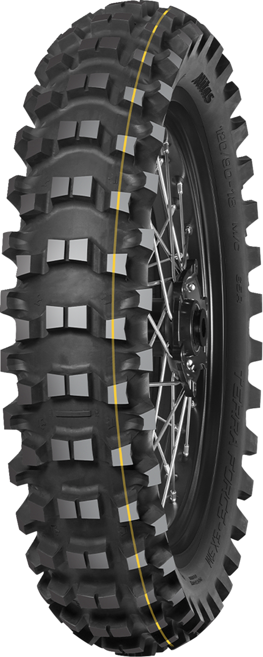 Representative tire model photo