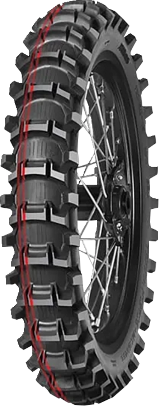 Representative tire model photo