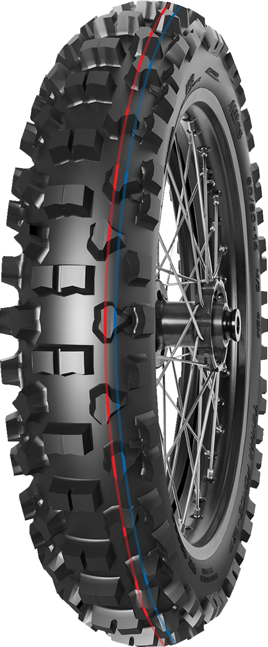Representative tire model photo